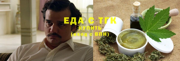 молекула духа Новозыбков