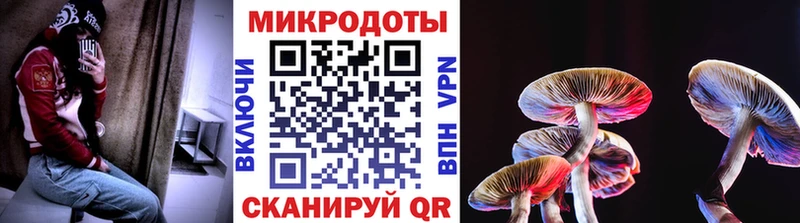 Галлюциногенные грибы MAGIC MUSHROOMS  Купить закладки  Южноуральск 