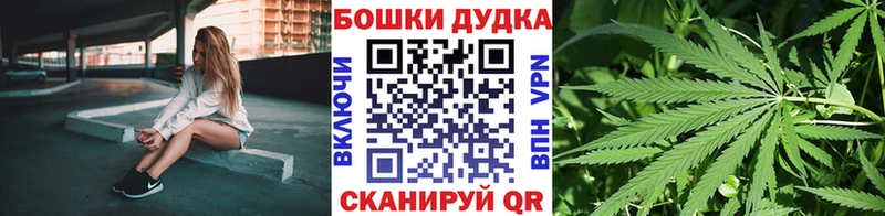 Купить где  Южноуральск  Конопля SATIVA & INDICA